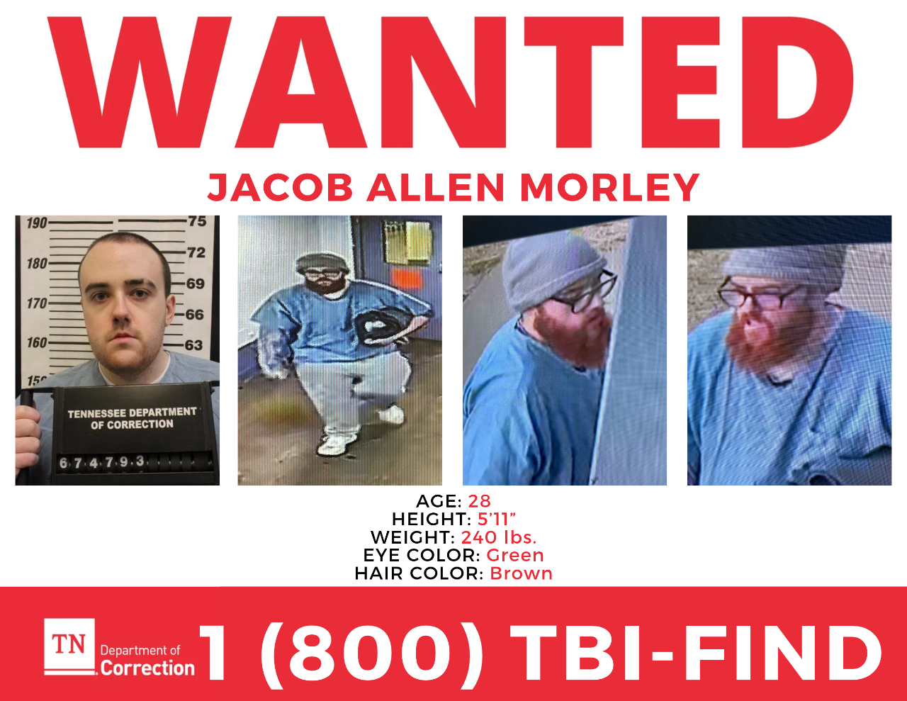 Tennessee Department of Correction wanted poster for Jacob Allen Morley, 28: a booking photo and three surveillance stills, listing him as 5 feet 11 inches, 240 pounds, green eyes, brown hair